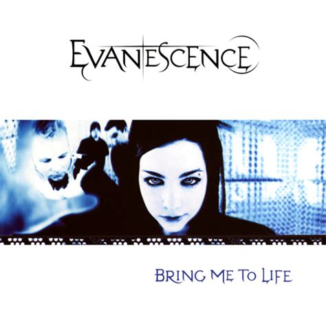 Rock Album Artwork Evanescence Fallen
