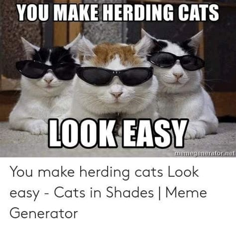 Pin By Elizabeth Cutts On Cats Herding Cats Shade Meme Cats