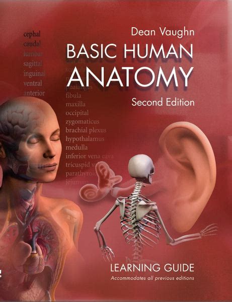Basic Human Anatomy 2nd Edition Dvd Instructional Program Dean