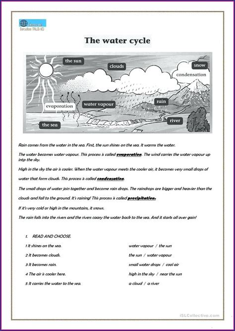 Water Cycle Handouts