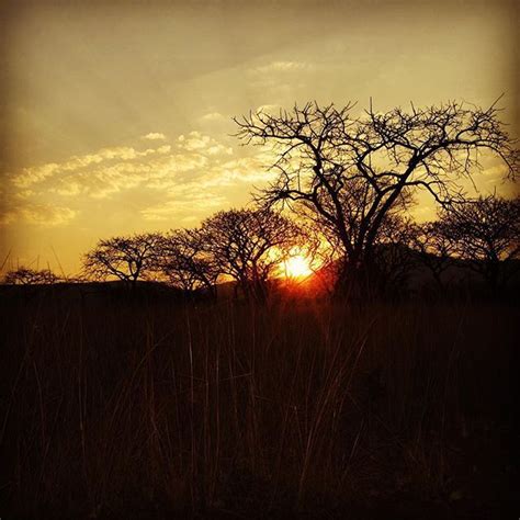 But it offers similar opportunities for wildlife watching and some amazing and varied landscapes, all for low prices and so close together you can do it all in a day (if you would want to). Zuri Lane on Instagram: "Mlilwane Nature Reserve ...