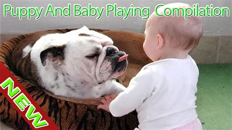 Puppy And Baby Playing Compilation 2016 Part 1 Funny Puppy Video