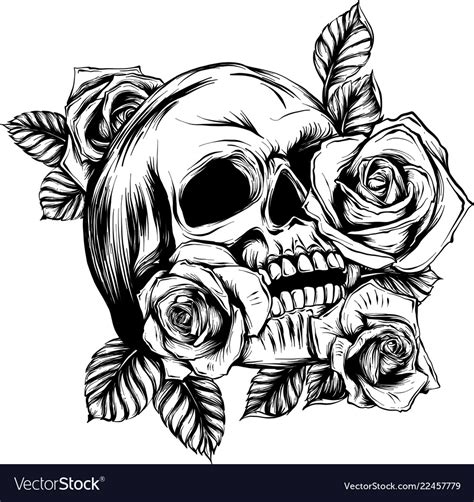 A human skulls with roses on white background Vector Image
