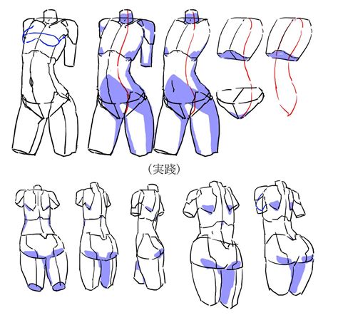 女性の体描き方简略化 10 アニメデッサンチュートリアル イラスト 解剖学アート