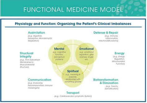 Dr Mark Hyman Functional Medicine Medicinewalls