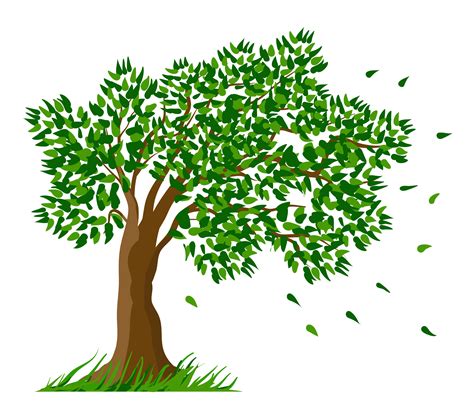 Transparent Tree Clipart Clipground