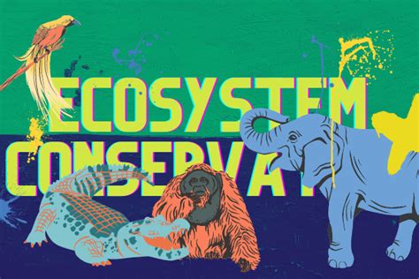 Fun Ideas For Teaching Ecosystem Conservation Britannica Education