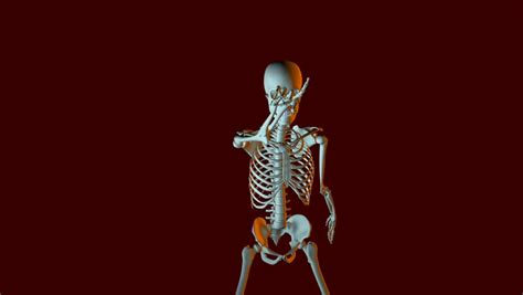 Dancing Skeleton Animation Stock Footage Video 3855128 Shutterstock