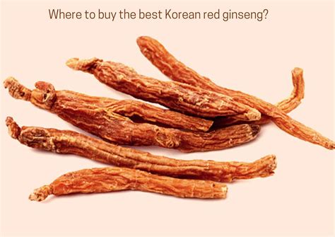 Where To Buy Korean Red Ginseng 2023 Ginseng Health Benefits And Side