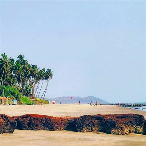 Arambol Beach Travel Guide Travel Tips Places To Visit Hotels And