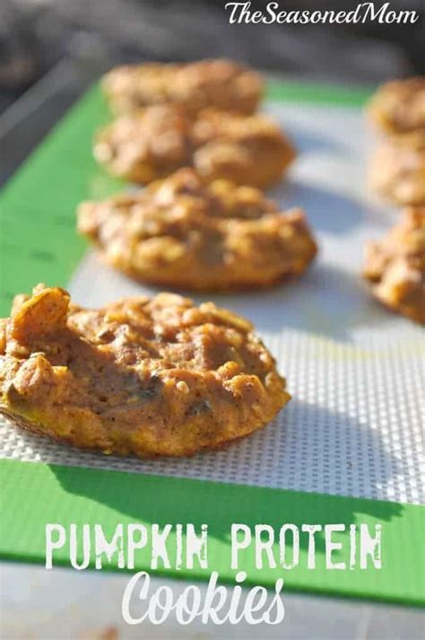 Mix oats, pumpkin, milk powder, soy protein isolate, flour, sucralose sweetener, cinnamon, and baking powder together in a medium bowl. Easy Pumpkin Streusel Coffee Cake - The Seasoned Mom