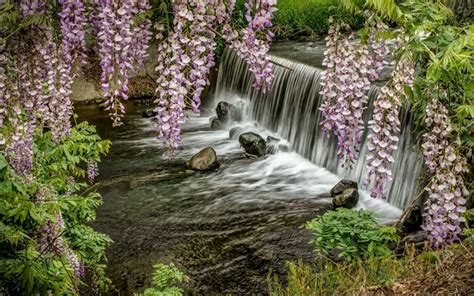 Download Wallpapers Waterfall River Spring Flowers