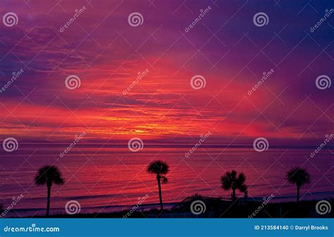 Palms In Silhouette Against Purple Sunrise Stock Photo Image Of Palm