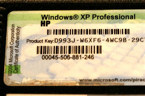 Photo Windows Xp Professional Certificate Of Authenticity Mg 8716 By