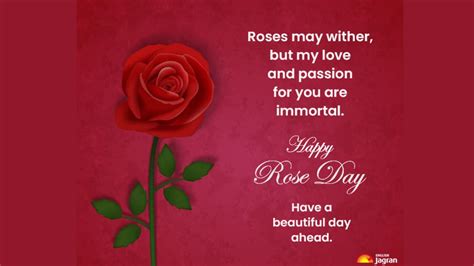 Happy Rose Day 2023 Wishes Quotes Sms Images Whatsapp And Facebook
