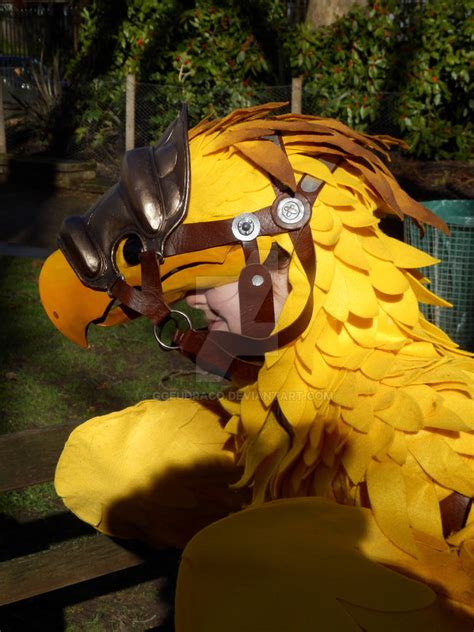 Odin The Chocobo 1 By Ggeudraco On Deviantart