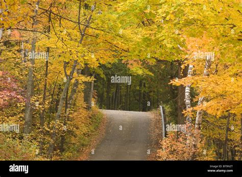 Wisconsin Fall Colors Brighten Trees Along The Roads Of Peninsula