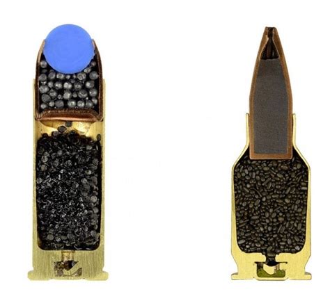 Beautiful Photos Of Bullet Cross Sections The Firearm Blog