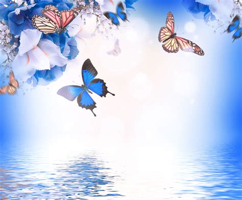 Water And Butterflies Wallpapers On Wallpaperdog