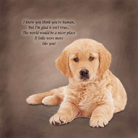 Top 4 Quotes And Sayings About Golden Retrievers