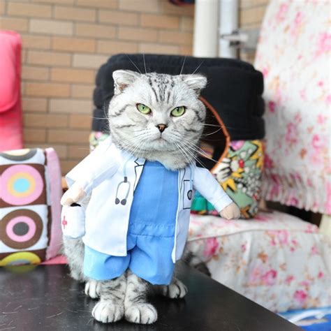 Popular Cat Doctor Costume Buy Cheap Cat Doctor Costume Lots From China