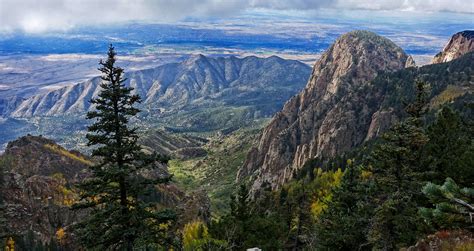 Usa Scenery Mountains Fir Bernalillo New Mexico Nature