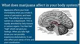 What Can Marijuana Do To Your Brain