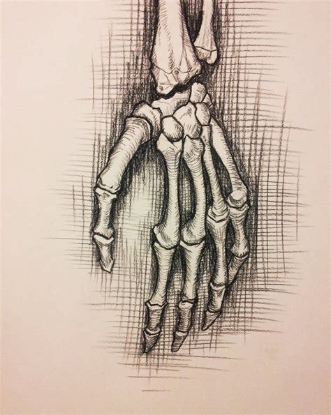 Anatomy Study Skeleton Hand By RichardBlumenstein On DeviantART Skeleton Drawings Skeleton
