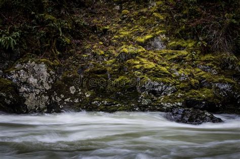 Middle Fork Snoqualmie River Stock Image Image Of Hike America