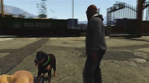 Gta V Chop The Horny Dog Grand Theft Auto 5 Gameplay