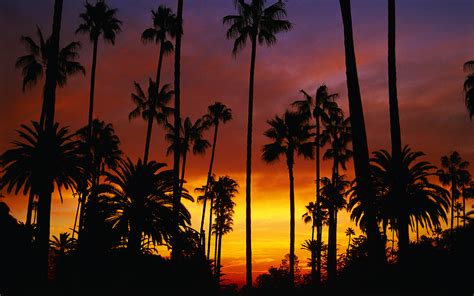 California Wallpapers Pictures Images