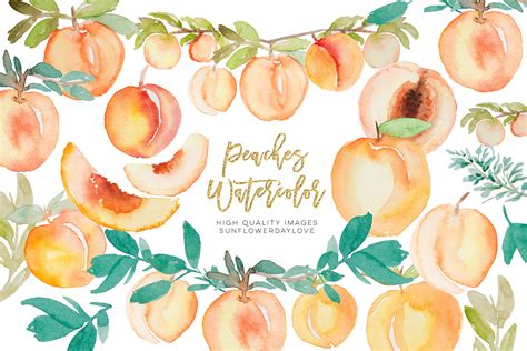 Greenery Peaches Watercolor Clipart Summer Peaches Clipart 422009