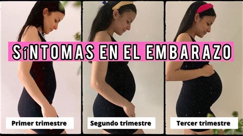 Síntomas En El Embarazo Primer Segundo Y Tercer Trimestre Youtube
