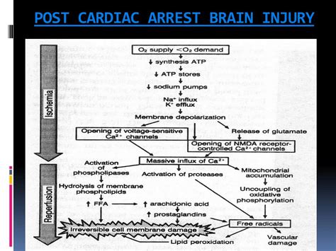 Maybe you would like to learn more about one of these? PPT - Post cardiac arrest SYNDROME and post ROSC care ...