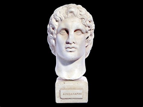 Alexander The Great Greek Art Historical T Bust Statue Ancient