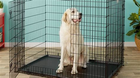 3 Extra Large Dog Crates For Large Breed Dogs — Pet