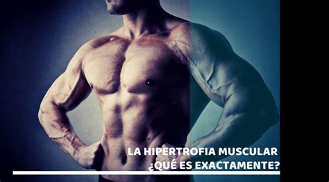 Hipertrofia Muscular Qu Es C Mo Se Realiza Beneficios
