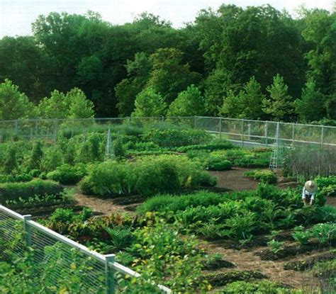 Planning The Garden Inspiration From Martha Stewart Living
