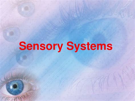 Ppt Sensory Systems Powerpoint Presentation Free Download Id172092