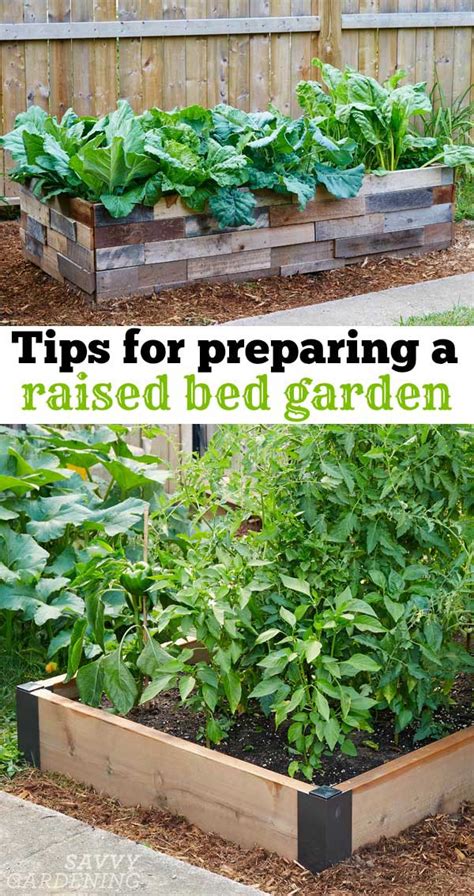 6 Things To Think About Before Preparing A Raised Bed Garden