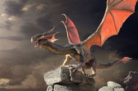 Forums Medieval Dragon Medieval Dragon Dragon Medieval