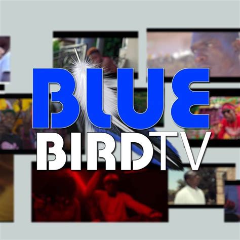 Bluebird Tv Home