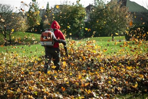 10 Most Powerful Leaf Blowers For 2023
