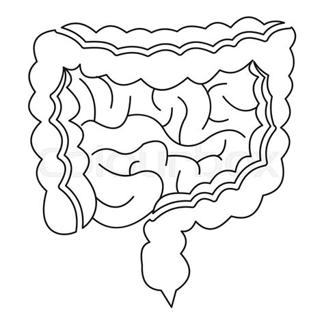 Intestine Small Intestines Clipart Drawing Illustration Coloring Pages Getdrawings Vector