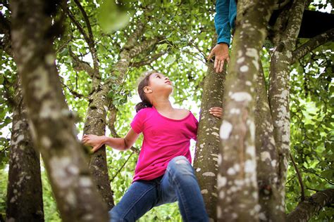 Young Girls Climbing Trees Photograph By Christopher Kimmel Pixels