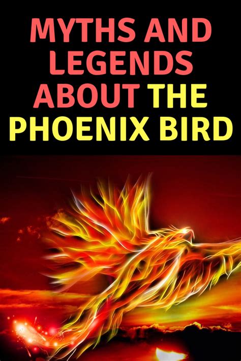 Spiritual meaning of phoenix bird. Spiritual Meaning of The Phoenix Bird + Legends & Myths ...