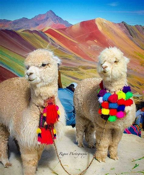 Machu Picchu And Huacachina Tour Perudestinations Posted On Instagram