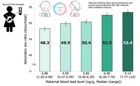 Maternal Lead Exposures Correlated With Sex Ratios Of Offspring Asia Research News