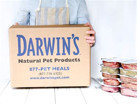 Product Review Darwins Natural Pet Products Acme Canine