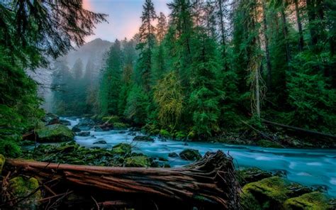 Download Wallpapers Skykomish Mountain River Fog Forest Mountain